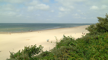 Strand van Renesse